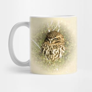 Little owl Mug